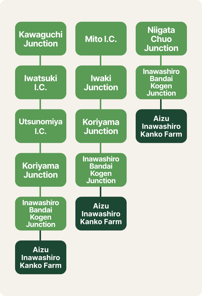 Guests coming by car