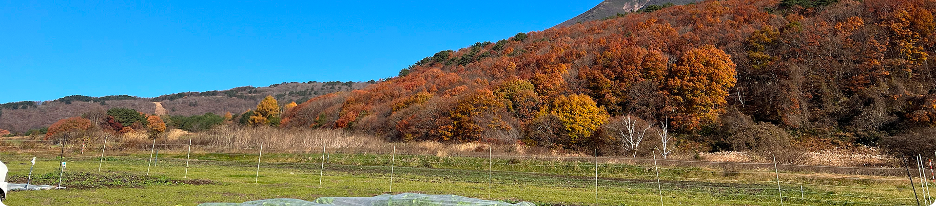 会津猪苗代観光ファーム アクセス ヘッダー画像