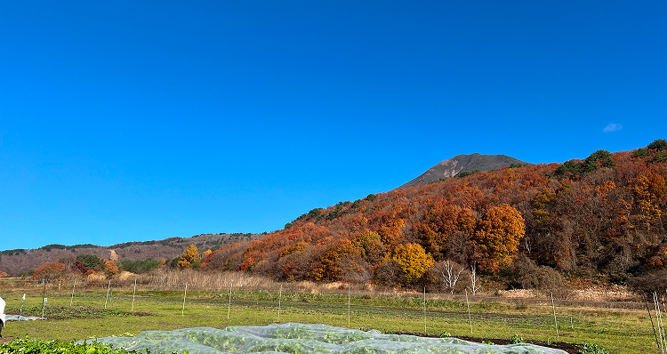 会津猪苗代観光ファーム アクセス ヘッダー画像