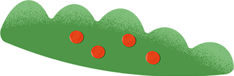 Farming Activity Plant illustration