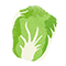 アイコン 白菜