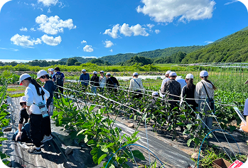 ナスの収穫体験・収穫野菜のお食事 1