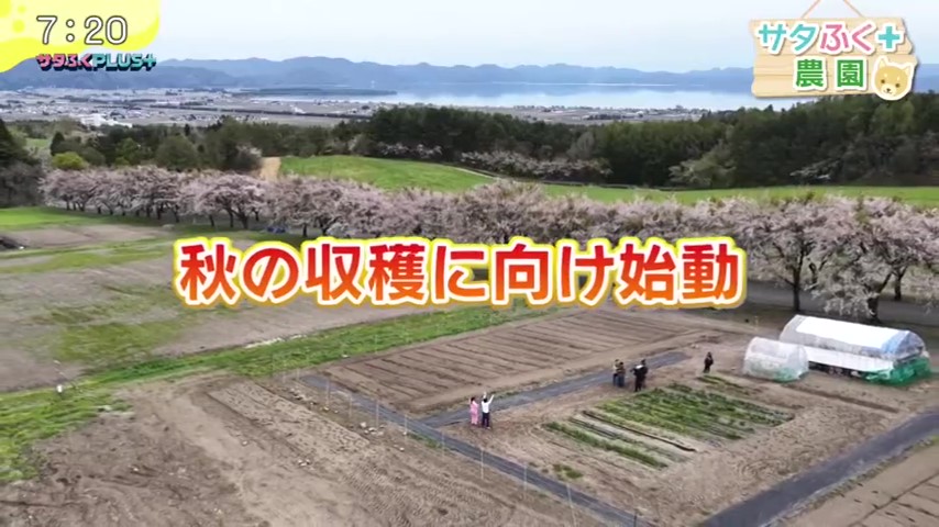 福島テレビ『サタふくプラス』にて、当社が管理している農場での新企画が放送されました。